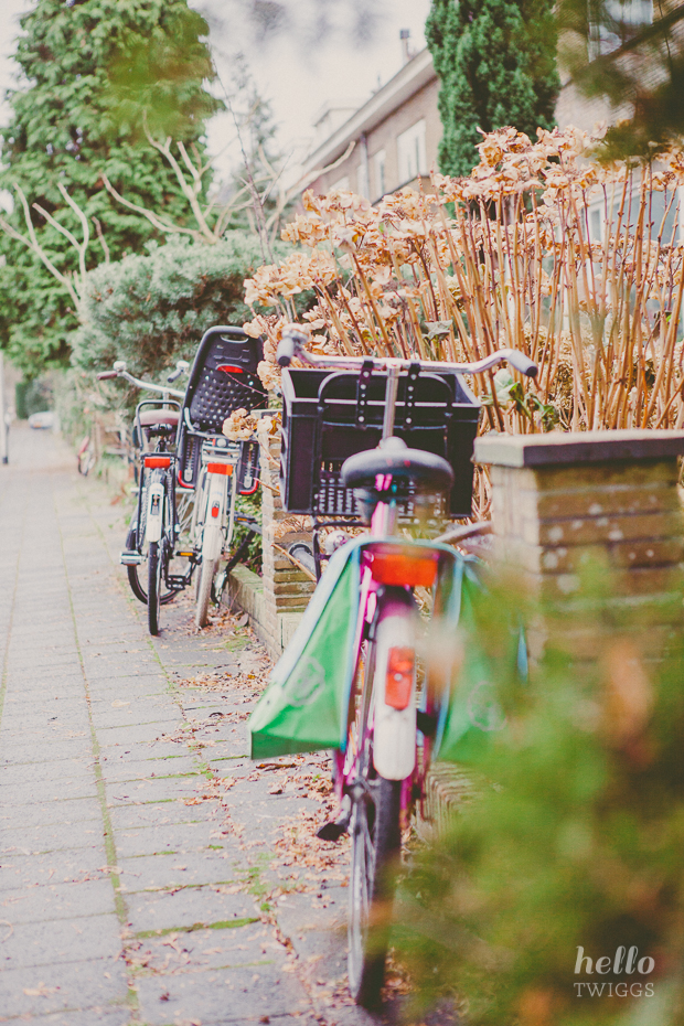 Bikes in Amsterdam during winter by Hello Twiggs (7)